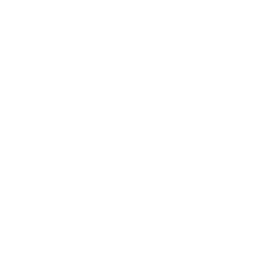 BI Systems: enterprise solution